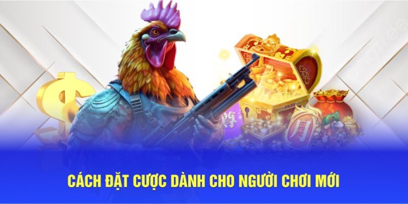 Phương pháp đặt cược dành cho người chơi mới