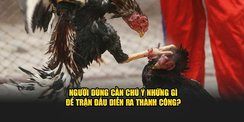 Người dùng cần chú ý những gì để trận đấu diễn ra thành công?