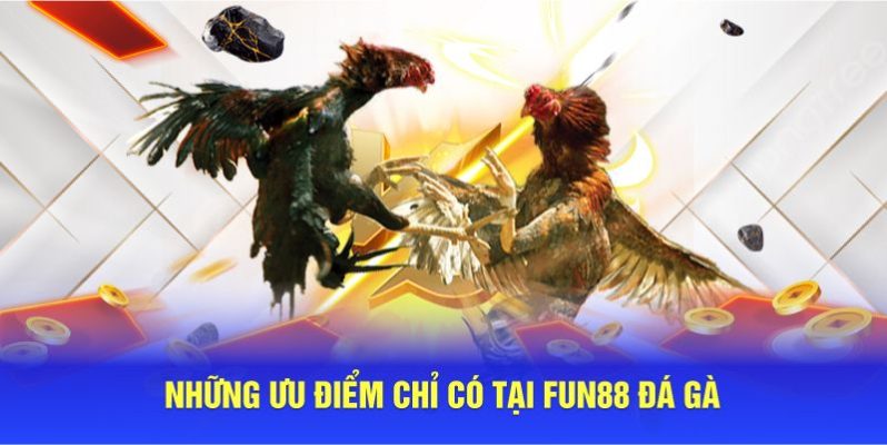 Những ưu điểm chỉ có tại Fun88 đá gà