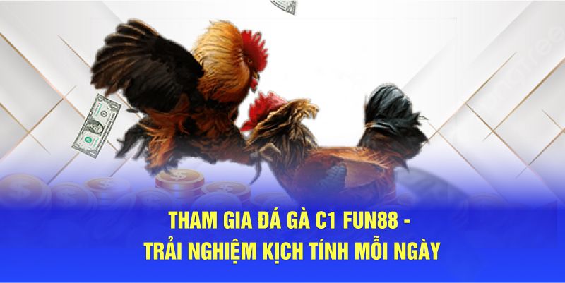 Tìm hiểu đấu trường đá gà c1 tại fun88